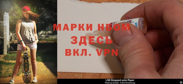 индика Аркадак