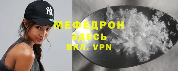 индика Аркадак