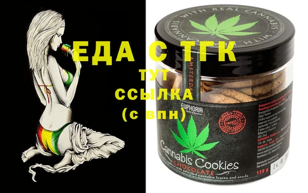индика Аркадак