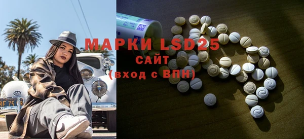 индика Аркадак