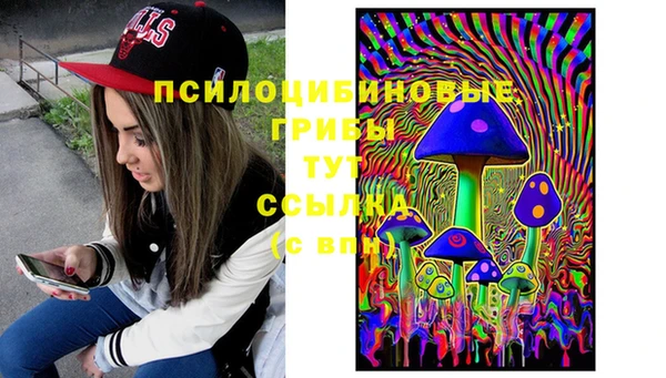 мдпв Арсеньев