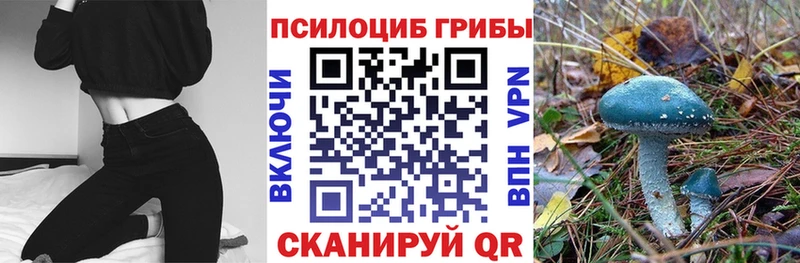 OMG как войти  нарко площадка какой сайт  Псилоцибиновые грибы ЛСД  Лаишево 
